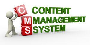 Custom-CMS-Development